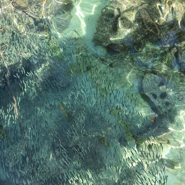 Turquoise lagoon, world's famous Maya Bay