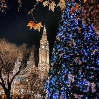 Rathaus Christmas Market Vienna 