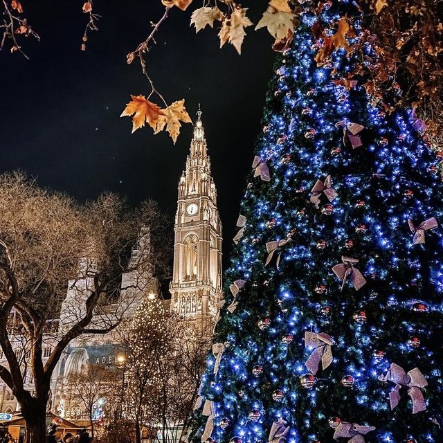 Rathaus Christmas Market Vienna 