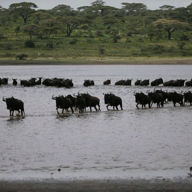 Trip to NDUTU