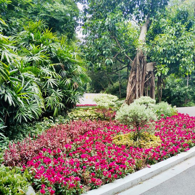 Yuexiu Park, Guangzhou, China