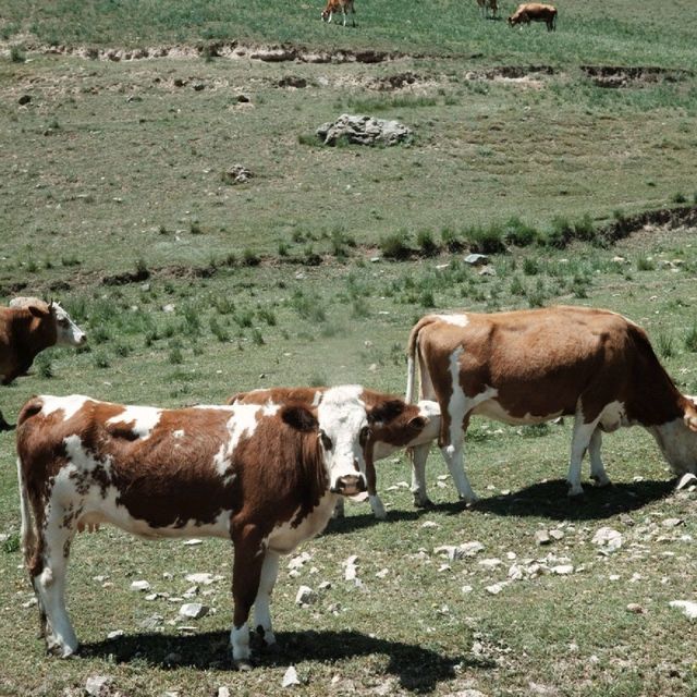 Beautiful Qilian county in North-Qinghai