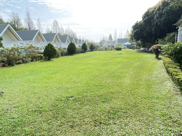 悅來居莊園(民宿)有超大草皮(寵物友善)、落羽松秘境、實景比照片美的民宿