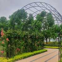 Rose Garden in Houtan Park