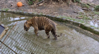 Great experience in Lok KaWi wild life park 