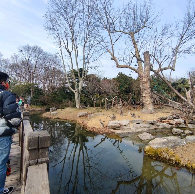 Winter day in the zoo