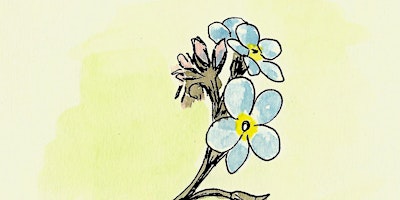 Nature watercolour painting | Hauxley Wildlife Discovery Centre
