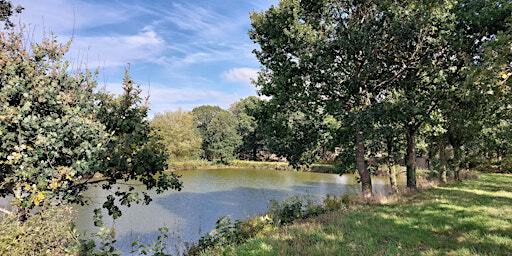 Sunday Social Lizard Wood Circular 9.5 miles | Shifnal