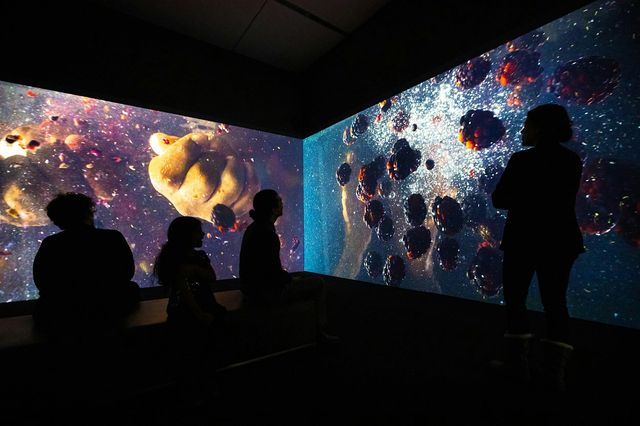 Spatializing Narrative 7 | Snell Library