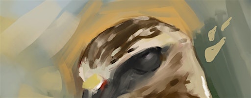 WILDLIFE Drawing with Kyle the Hawk | Photo Opp