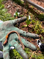 Kids Dig Into Nature! at Terra Nova Community Garden | Terra Nova Red Barn