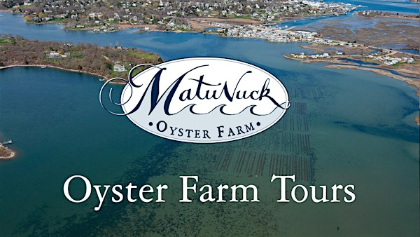 Oyster Farm Tour | Matunuck Oyster Bar