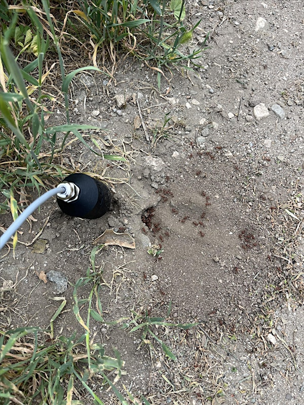 Introduction to Field Recording: Listening to Secret Worlds w/ Aaron Tupac | 3335 Crestford Dr