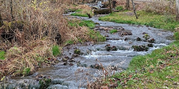 2025 Iowa Nature Summit | Olmsted Center