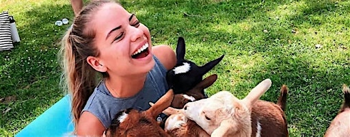 Tiny Goat Yoga (+Mini Donkeys, Giant Rabbits, Chickens, Pups, Goats & Wine) | 61829 Ray Center Rd