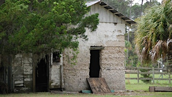 Day Trip and Tour of Ossabaw Island's North End | Ossabaw Island, North End