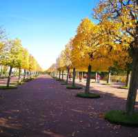 Peterhof Palace

หลังม่านเหล็ก รัสเซีย