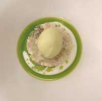 Allium - Brisbane 