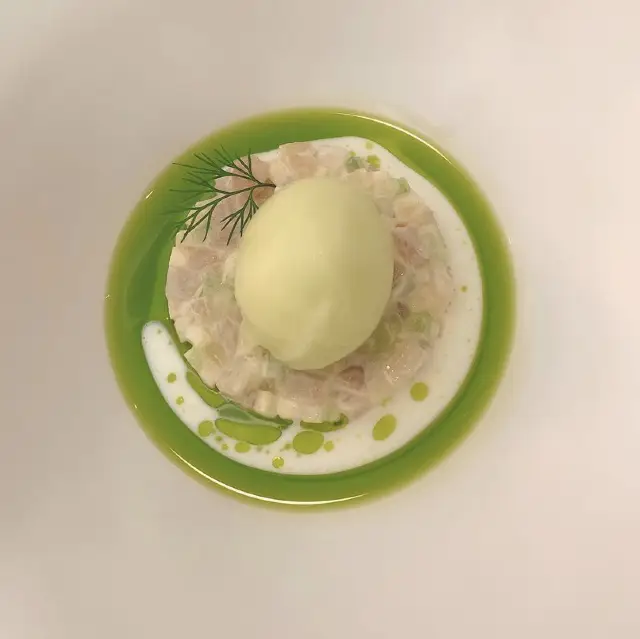 Allium - Brisbane 
