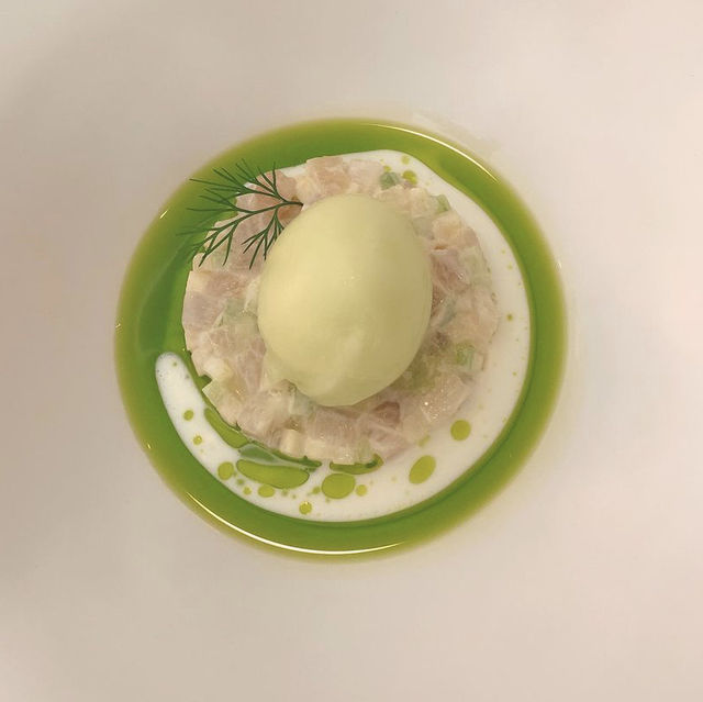 Allium - Brisbane 
