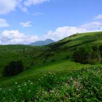 夏の霧ヶ峰