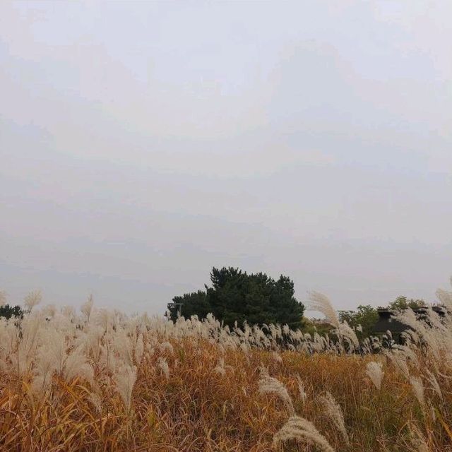 서울근교 가을여행지, 시흥으로 떠나요🌾🍂