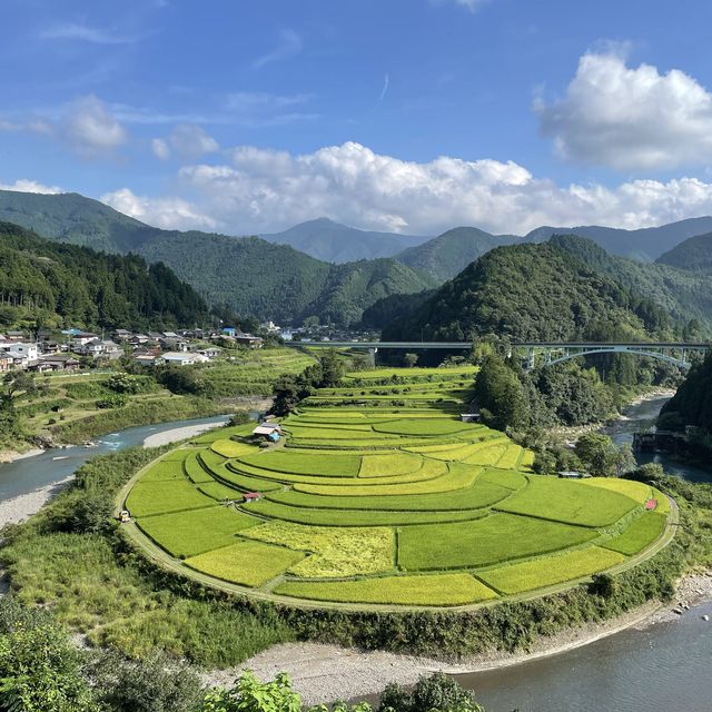 棚田100選！！！