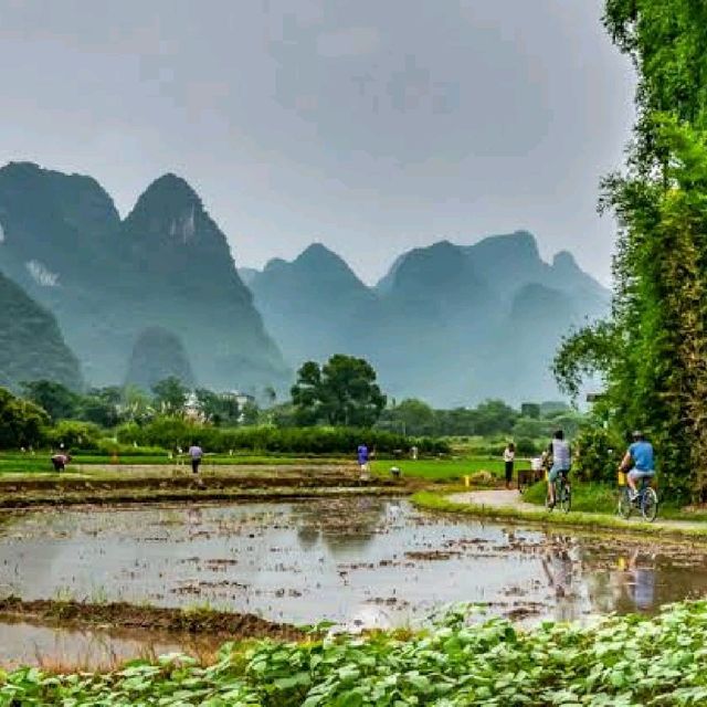 colors of Autumn in Yangshuo