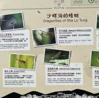 沙螺洞