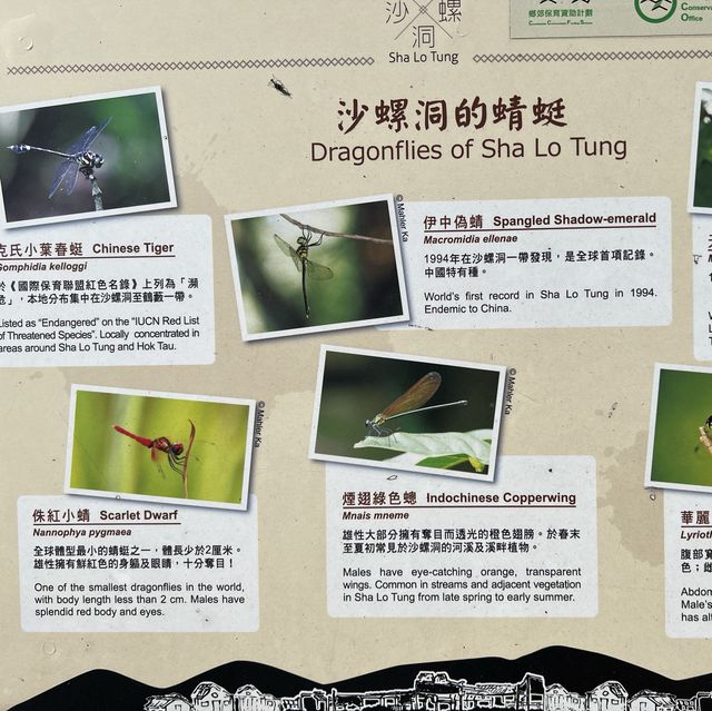 沙螺洞