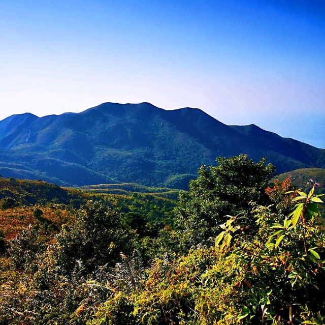 三山連走－觀音山、羌山、靈會山