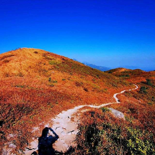 三山連走－觀音山、羌山、靈會山