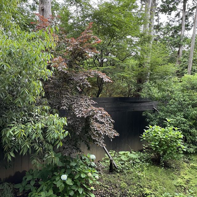 箱根一の湯