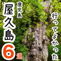 【鹿児島】行ってよかった屋久島の観光地6選