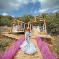 นาเขา คาเฟ่ BY Landbreeze resort เขาใหญ่