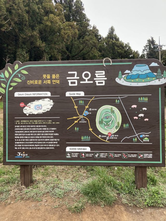 제주 오름 중 금오름~!