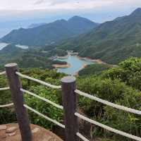由鬧市幾分鐘行到鳥語花香的山林間