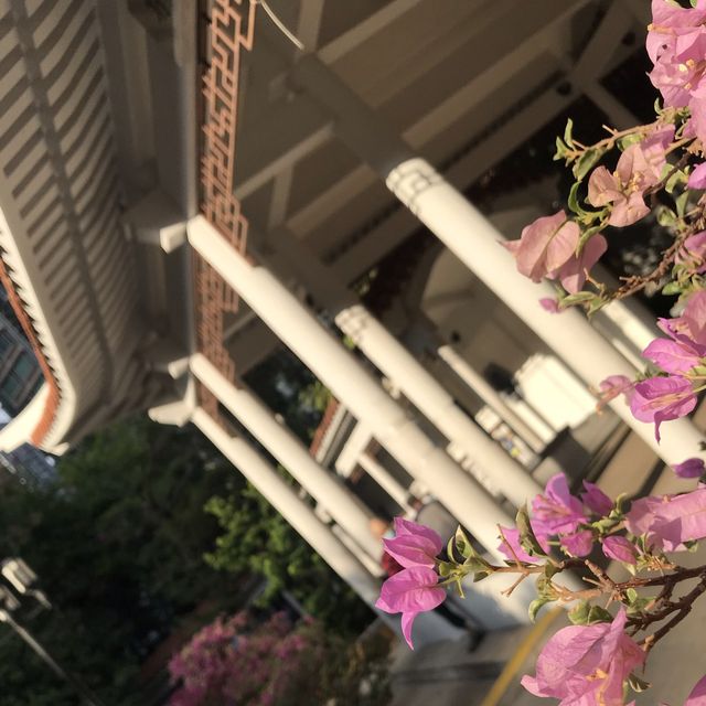 鳥魚花香的休閑公園