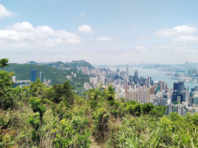 鰂魚涌坳