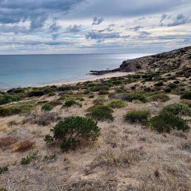 Towilla Yerta Reserve In Port Willunga