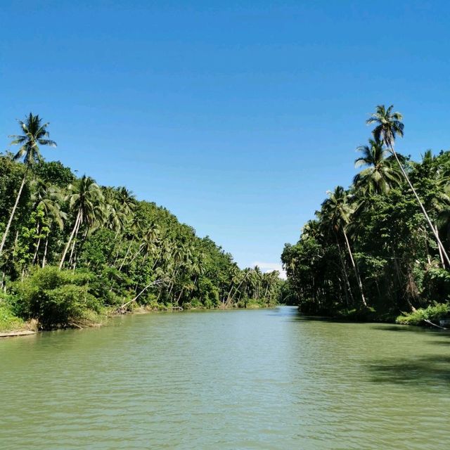 Loboc River Cruise