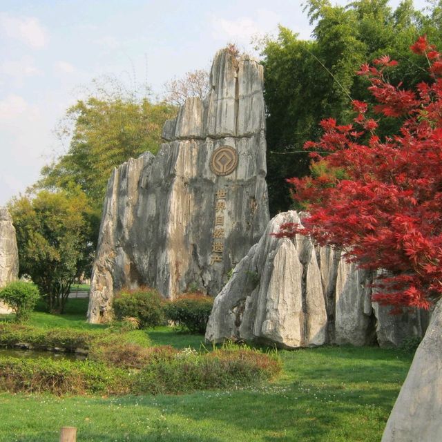 Stone Forest In Yunnan