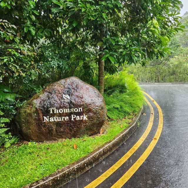 Thomson nature park 
