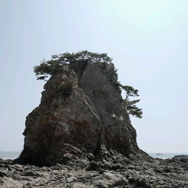 안면도 할미할아비바위 해수욕장