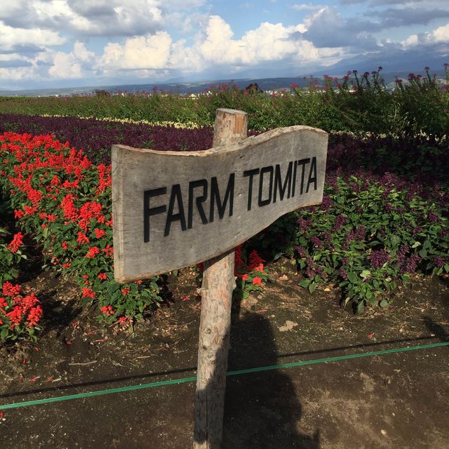 I love Farm Tomita 