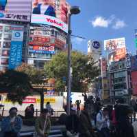 ชิบูย่า (Shibuya) ศูนย์กลางรวมทุกอย่างของโตเกียว