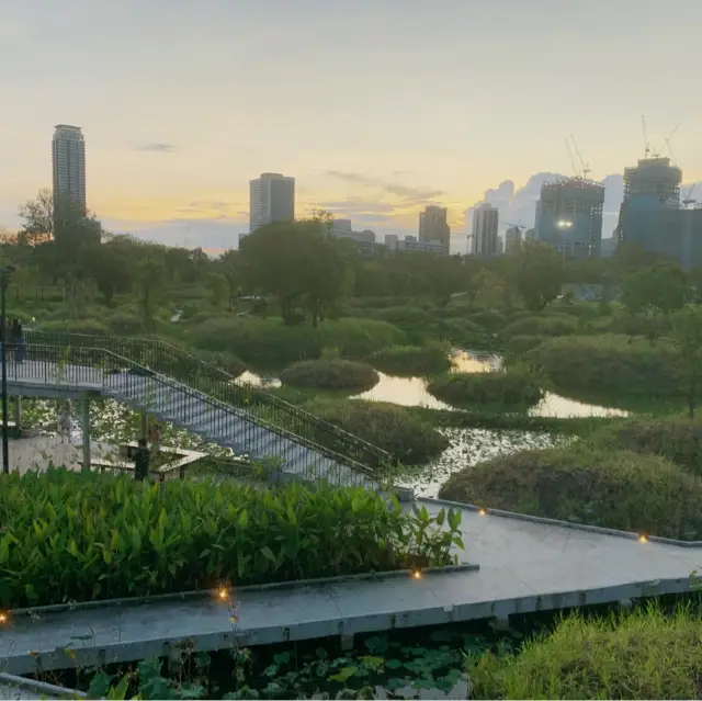 Sunset strolls at benjakitti forest park