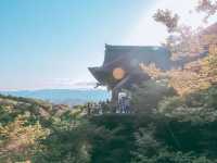 京都|鴨川/清水寺/地主神社