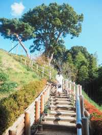 茨城県立歴史館