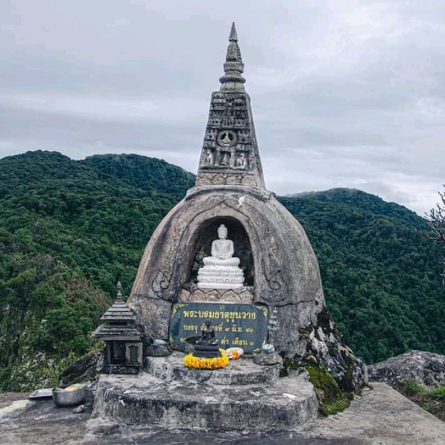 ⛰️ผาแง่ม ผาสองฤดู ขุนวาง จังหวัดเชียงใหม่⛰️